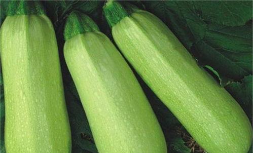 7C吃瓜热门,揭秘娱乐圈最新热点事件