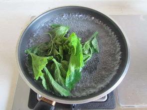 黑瓜叶怎么吃效果最好呢,营养吸收最佳指南