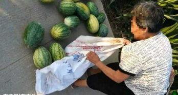 近期热门的瓜,揭秘明星背后的惊人真相！