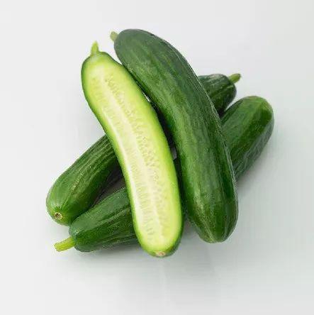 甘肃小乳瓜今日价格