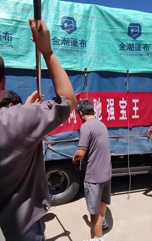 明星网红驰援涿州视频,明星网红助力涿州抗洪救灾”