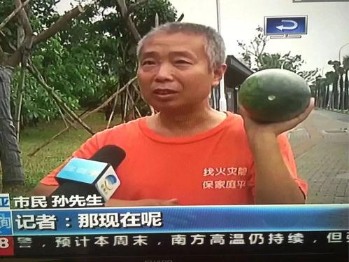 热门事件吃瓜去哪看,揭秘各大平台独家爆料